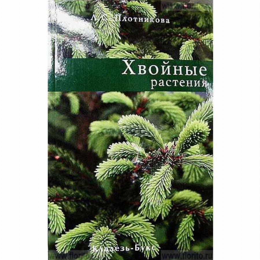 КНИГА ХВОЙНЫЕ РАСТЕНИЯ Л.С.ПЛОТНИКОВА кладезь букс | Агрофирма «ФЛОС»