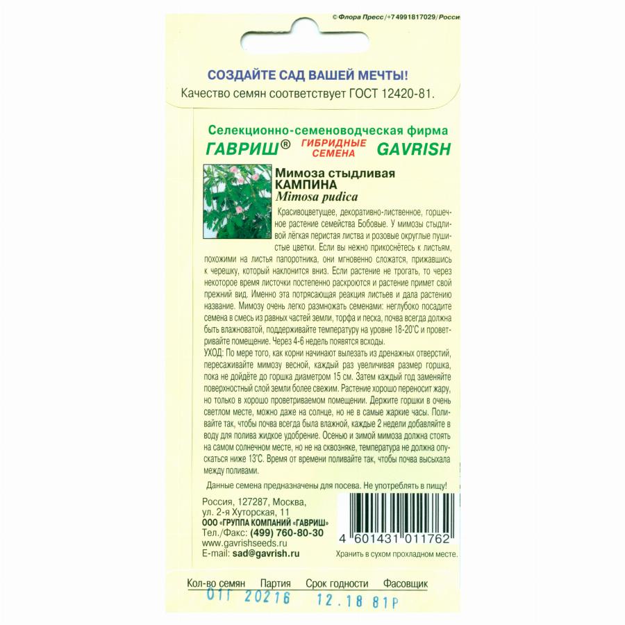 МИМОЗА СТЫДЛИВАЯ КАМПИНО 0,1 Г гавриш | Агрофирма «ФЛОС»