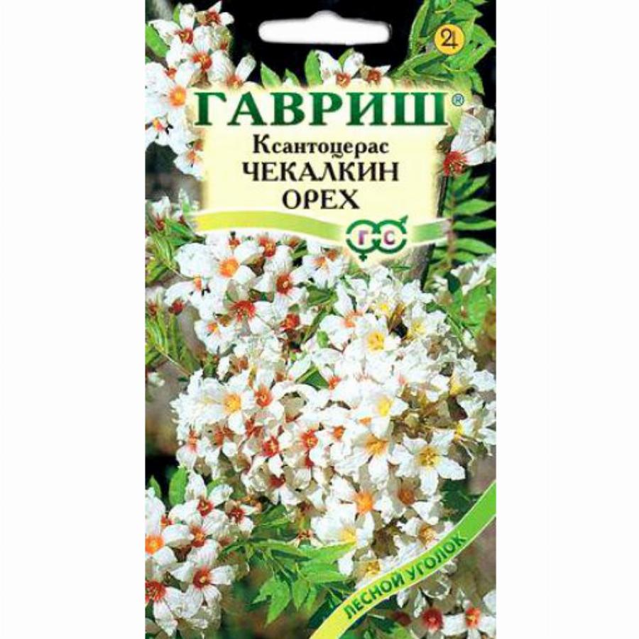 Ксантоцерас Чекалкин орех 3 шт. Н10 семена купить в Самаре по цене 34 руб.