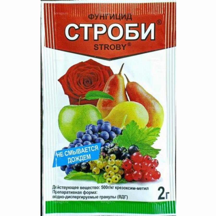 Строби аналоги. Строби 2гр. Строби 2 г. Строби фунгицид. Строби паутинка.