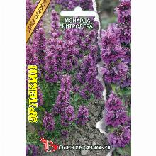 МОНАРДА ЦИТРОДЕРА АРЛЕКИН 50 ШТ биотехника