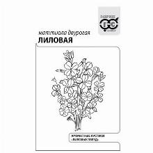 ЛЕВКОЙ ЛИЛОВЫЙ 0,3 Г Ч/Б гавриш